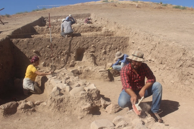 Müze sayısı 2019'da 467'ye ulaştı