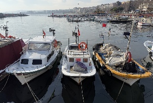 Tekirdağlı balıkçılar yeni yılda hamsi ve çinekoptan umutlu