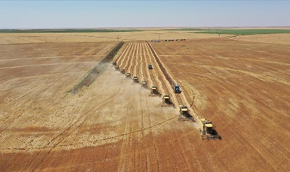 Bakanlık açıkladı: Çiftçilerin hesaplarına yatıyor