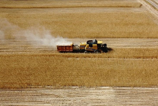 Tarım ÜFE aralıkta yıllık bazda yüzde 37,01 arttı