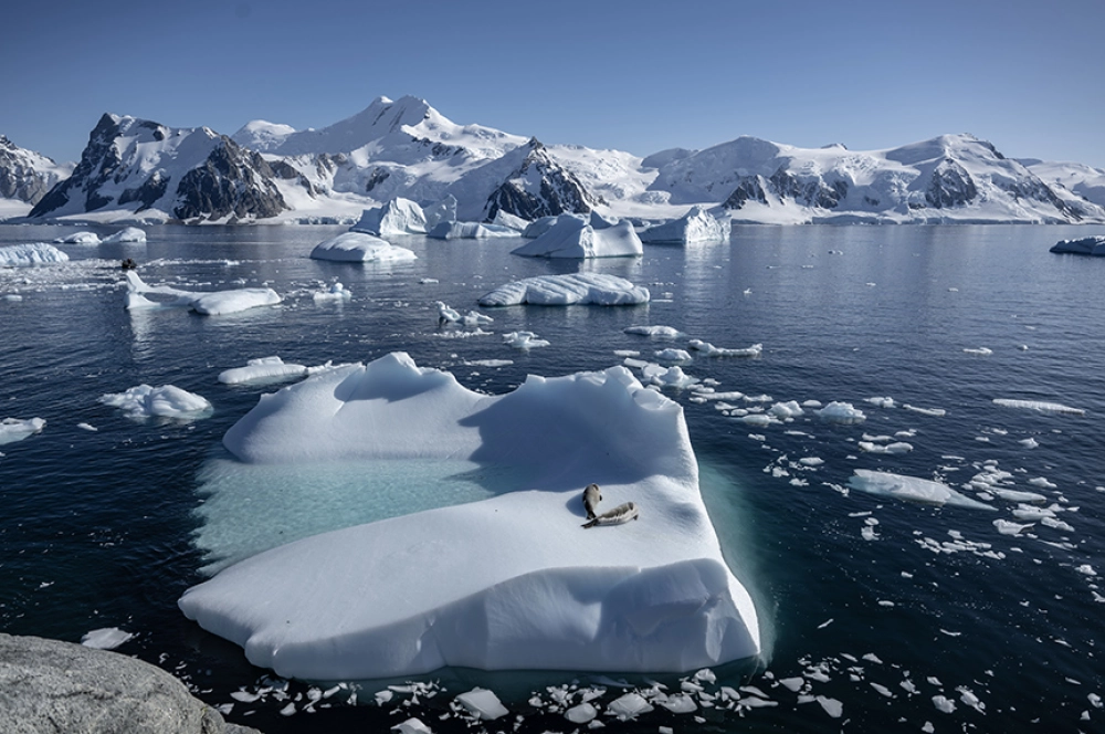 Türk bilim insanları Antarktika'da kirliliğin izini sürüyor