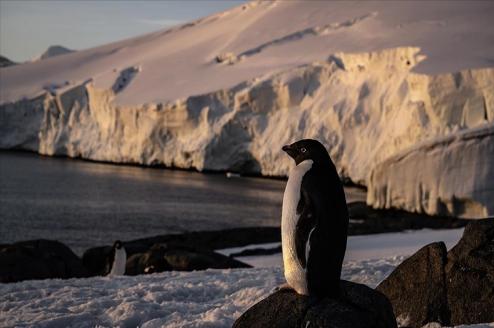 Türk bilim insanları Antarktika'da kirliliğin izini sürüyor