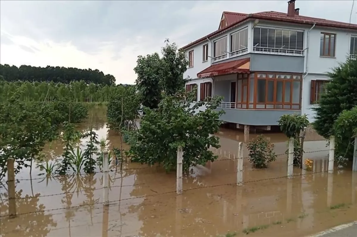 Selle mücadelede yeni dönem: Eylem planı hazır