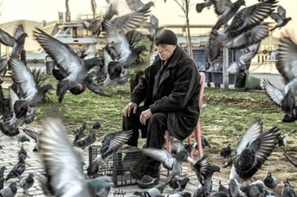 The contest continues #oneistanbul displaying 190,000 photos