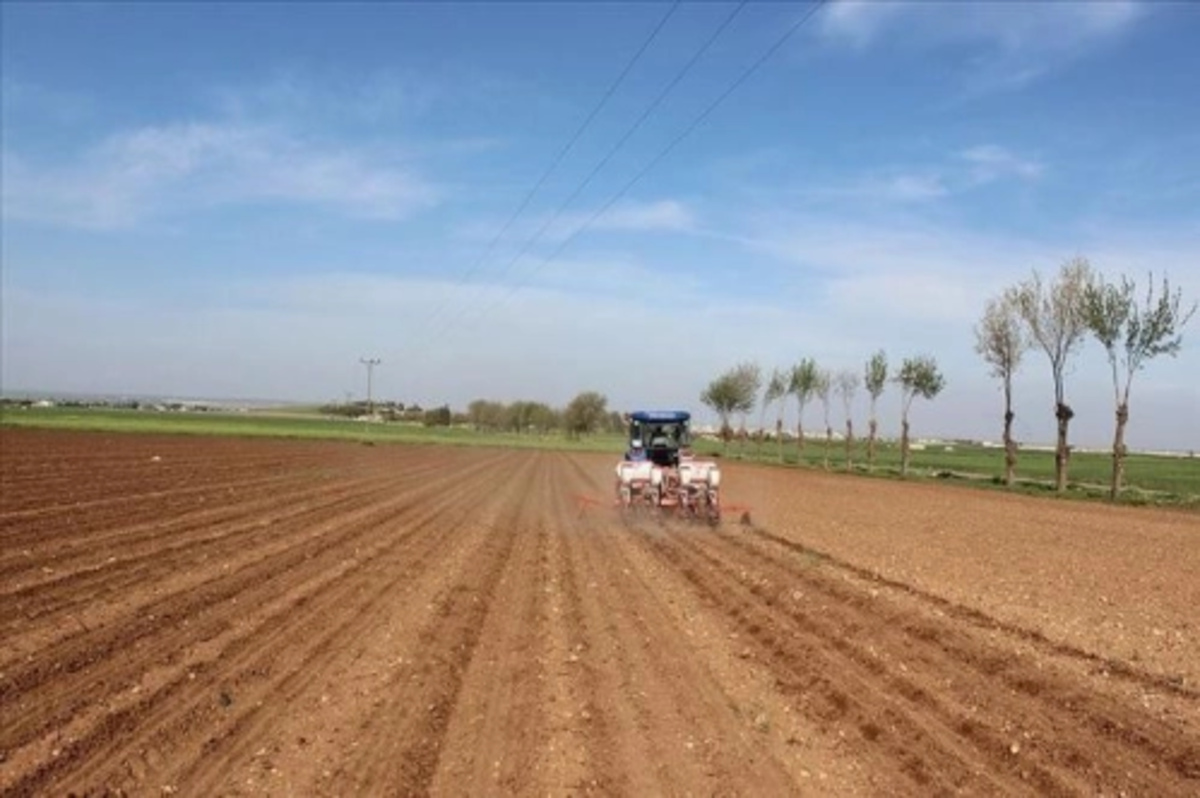 Kırsal kalkınma destekleri yeni kararlarla artıyor