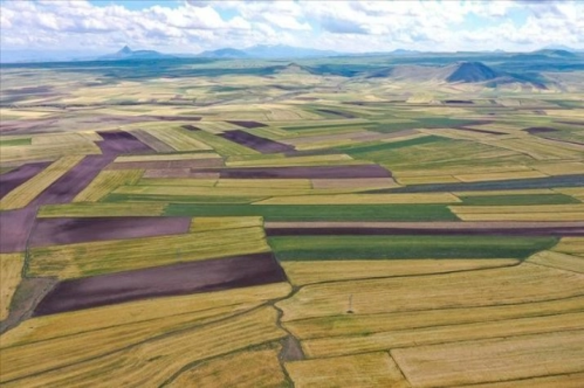 Arsa satışları geçen yıla oranla yüzde 20 arttı