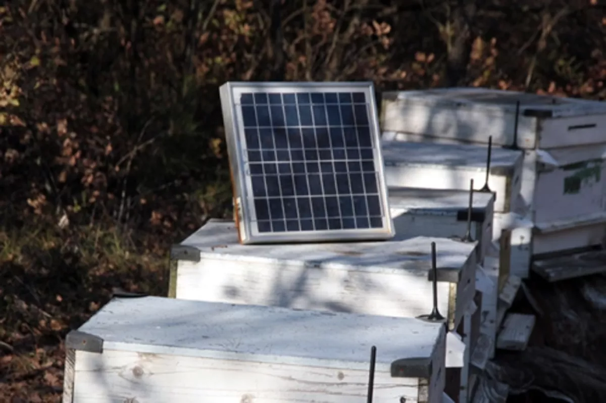 Klimalı kovan ile 5 kat fazla bal