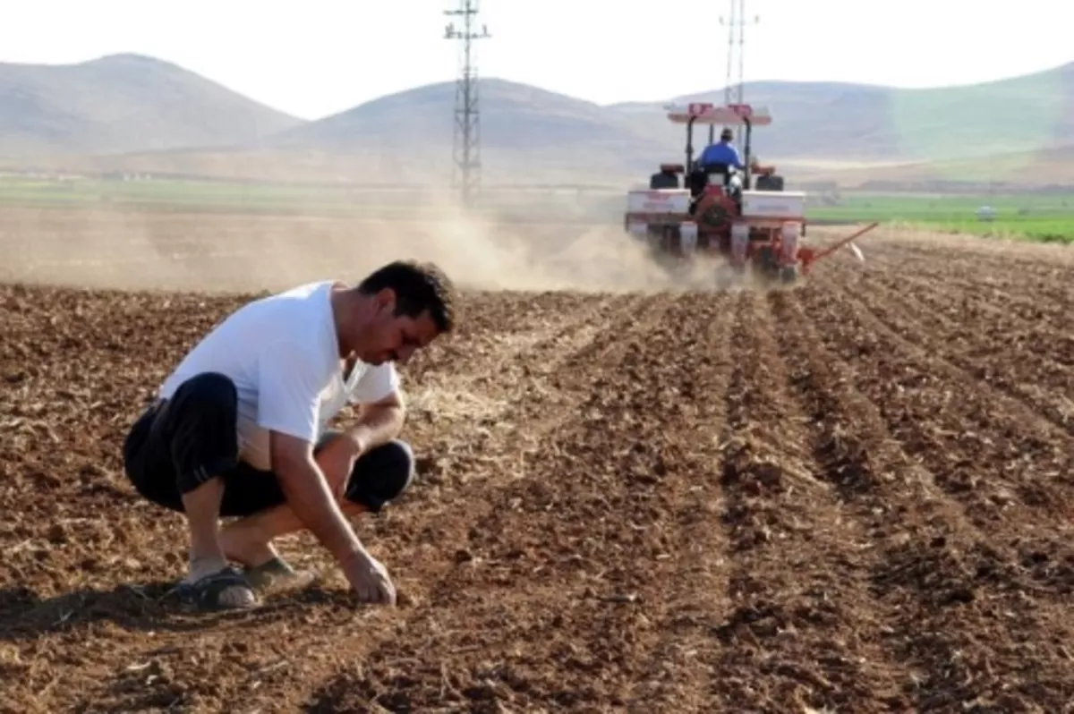 Sigortası olmayan çiftçilere kuraklık desteği Afet Fonu'ndan