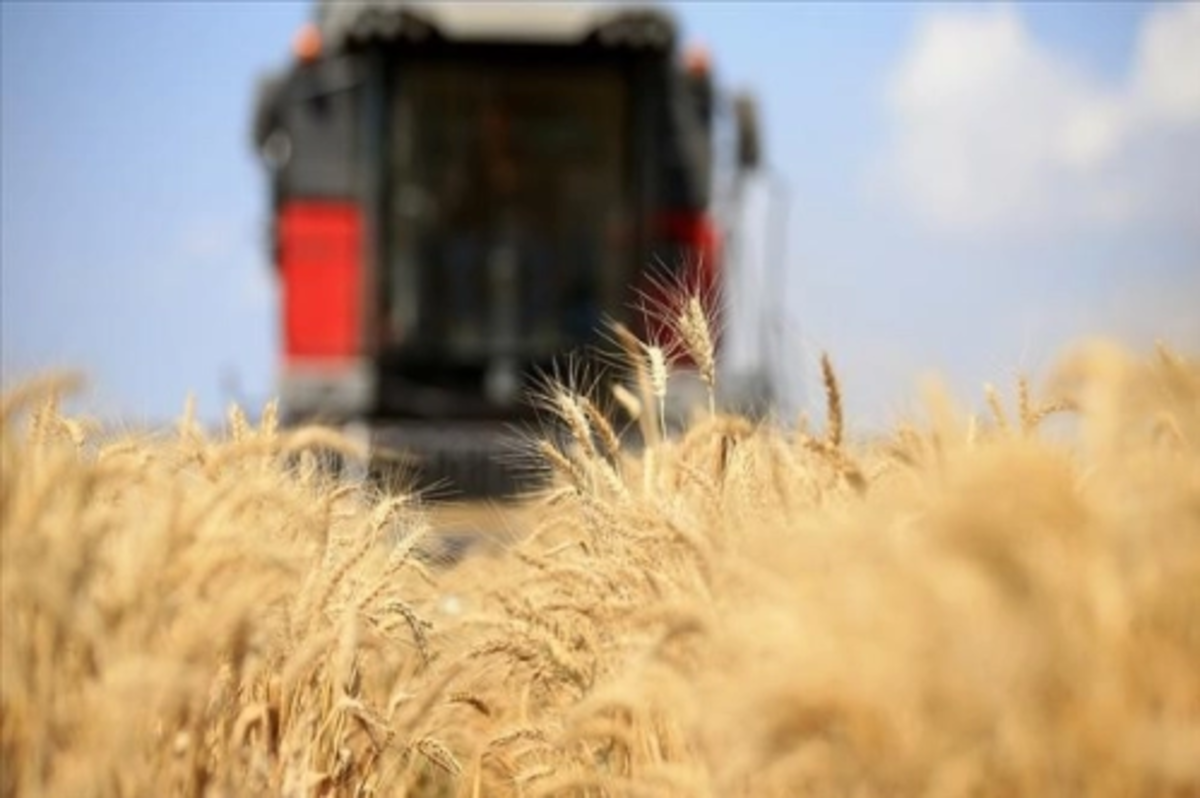 Küresel gıda fiyatları temmuzda geriledi