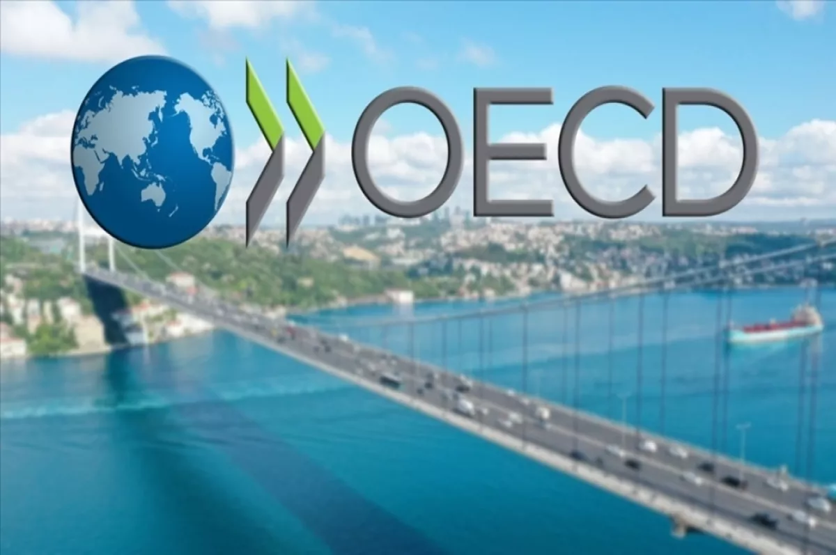 OECD bölgesinde ekonomi 2023'ün son çeyreğinde yüzde 0.4 büyüdü