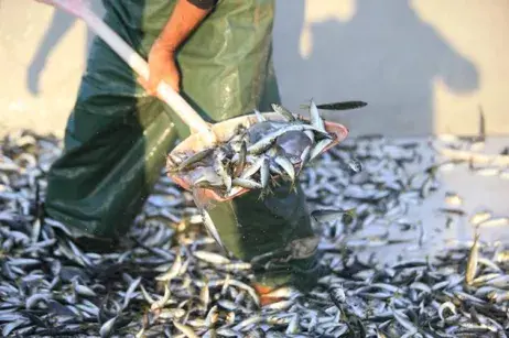 Ito Haber Gündem Haberleri