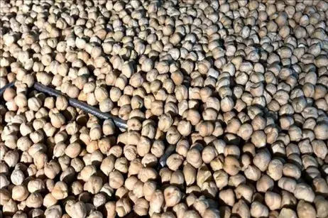 Ito Haber Gündem Haberleri