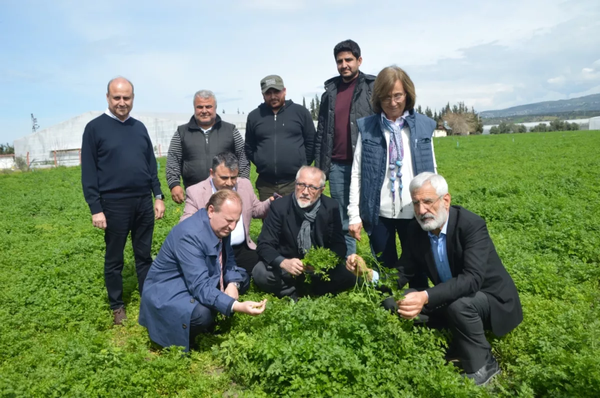 Hatay’a ihracatçılar limon için ayrı bir ihtimam göstermeli