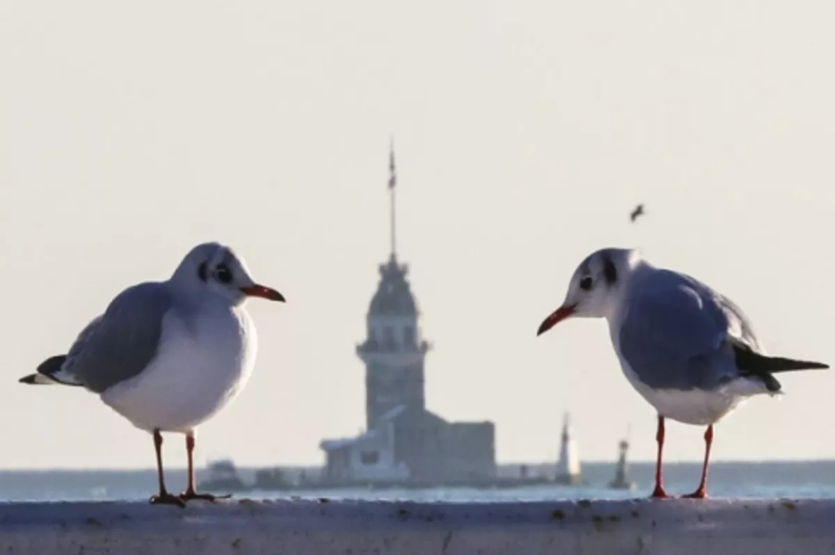 İSTANBUL ikinci kez Avrupa’nın en iyi toplantı kenti