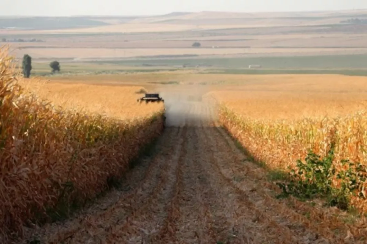 2022 için Tarım Sigortaları Havuzu teminat kapsamı genişletildi