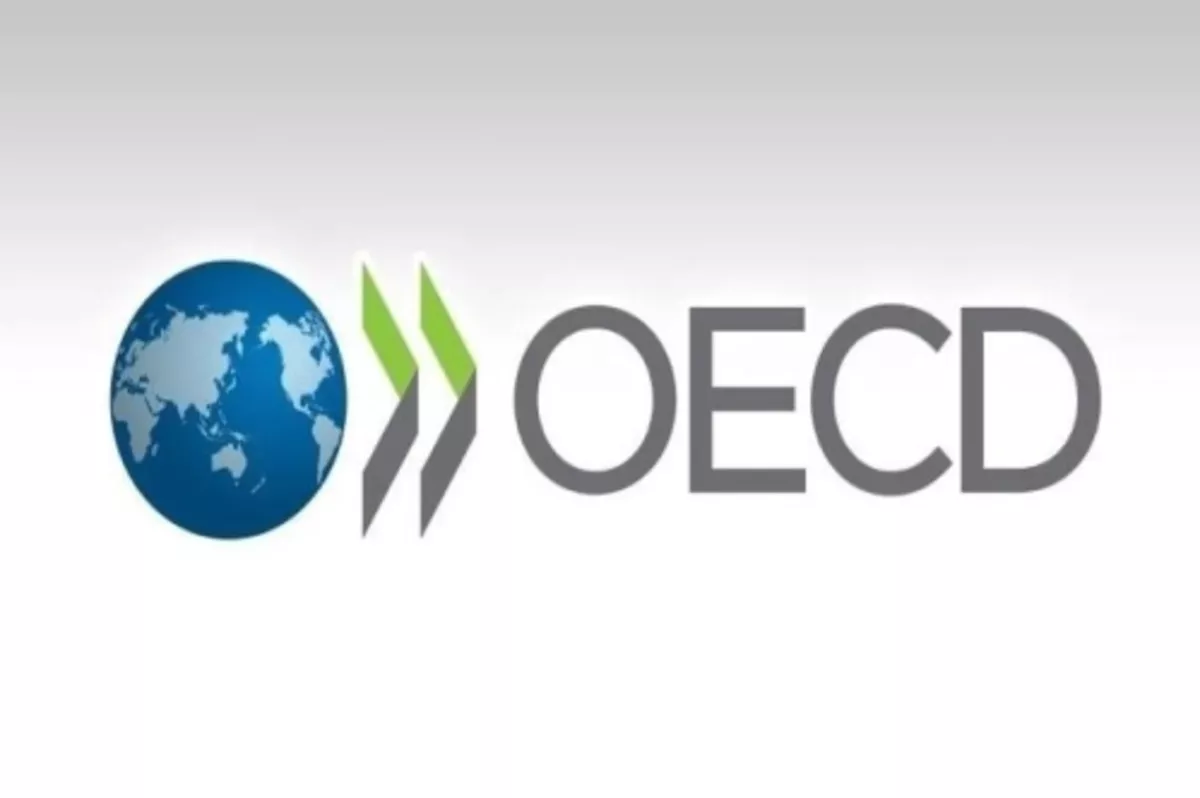 OECD, Türkiye'nin büyüme tahminini yükseltti