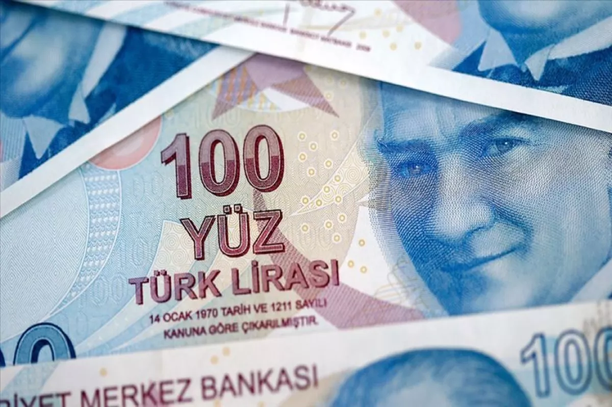 Hazine alacakları temmuz sonu itibarıyla 29.2 milyar lira oldu