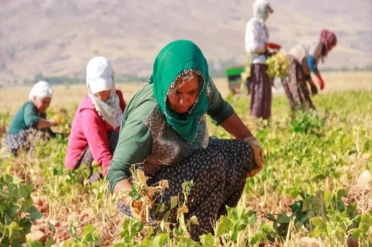 Bakanlıktan kırsaldaki kadınlara eğitim