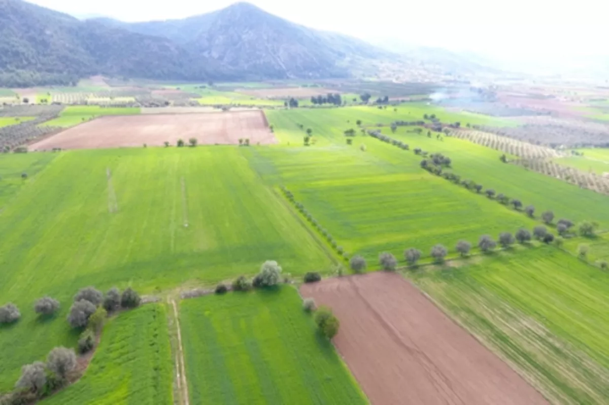 Gıda, tarım ve ormana yeni düzenlemeler