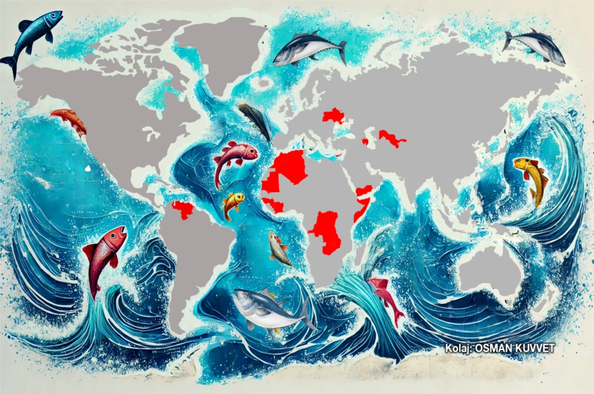 2 okyanus 15 ülkede Türk balıkçıları büyük balık peşinde