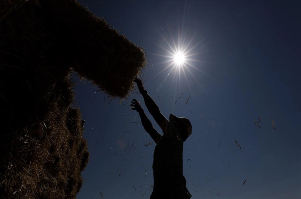 900 milyon çiftçi için sıcaklık stresi alarmı