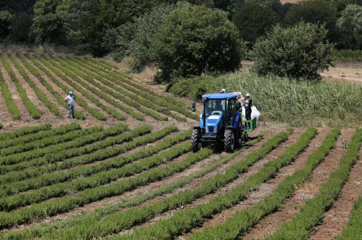 Tarımsal girdi fiyat endeksi temmuzda aylık bazda yüzde 3.42 arttı