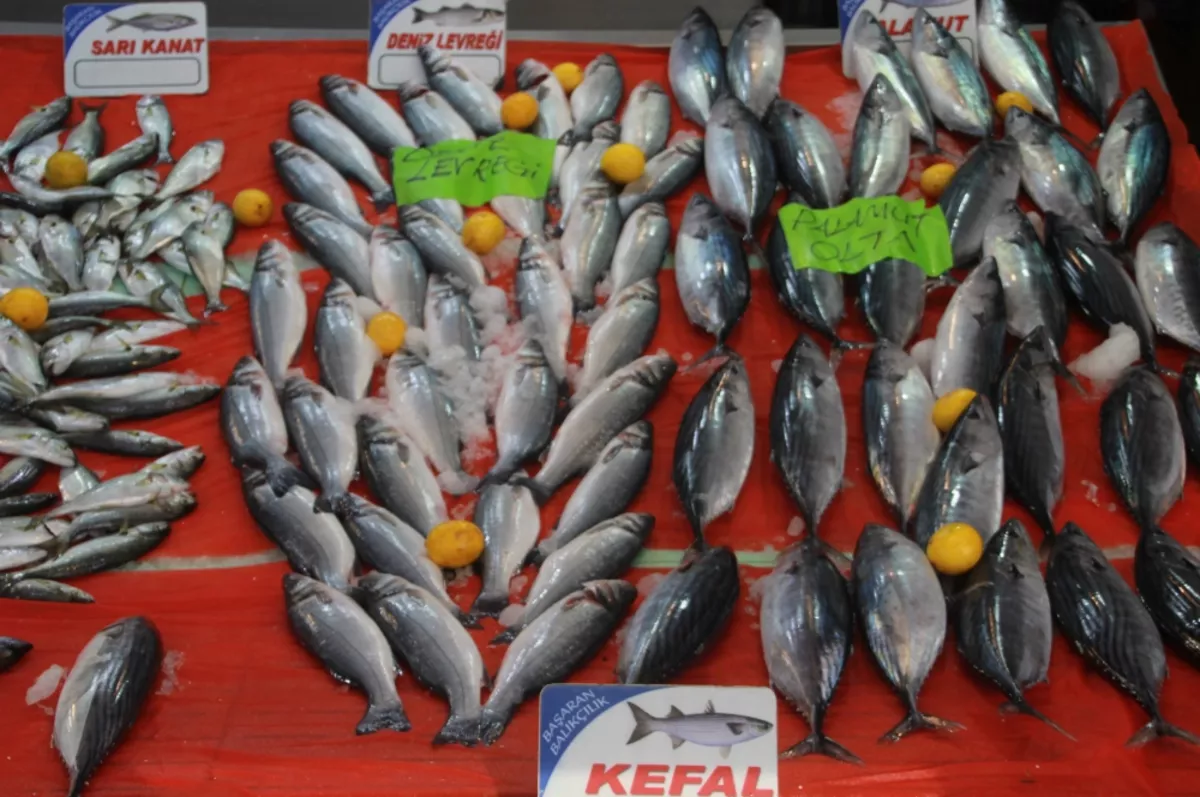 Hava şartları nedeniyle avcılık azaldı, balık fiyatları arttı