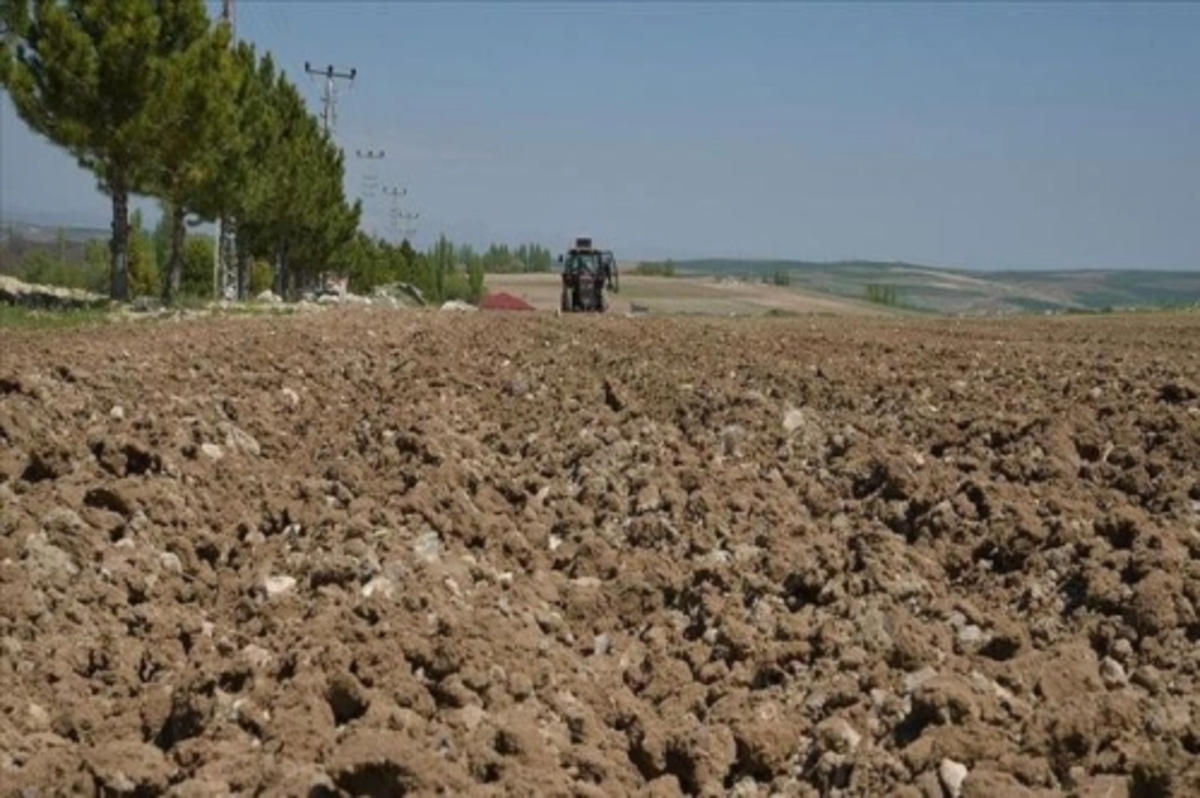 Kamu taşınmazları belirli sektörlerdeki yatırımcıların hizmetine sunuluyor