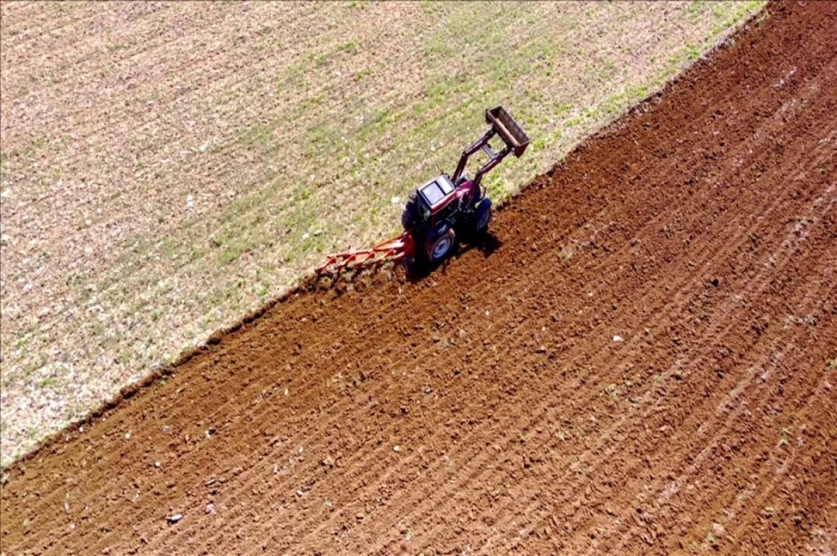 Deprem bölgesindeki atıl tarım arazilerini etkinleştirmek için 127 milyon lira