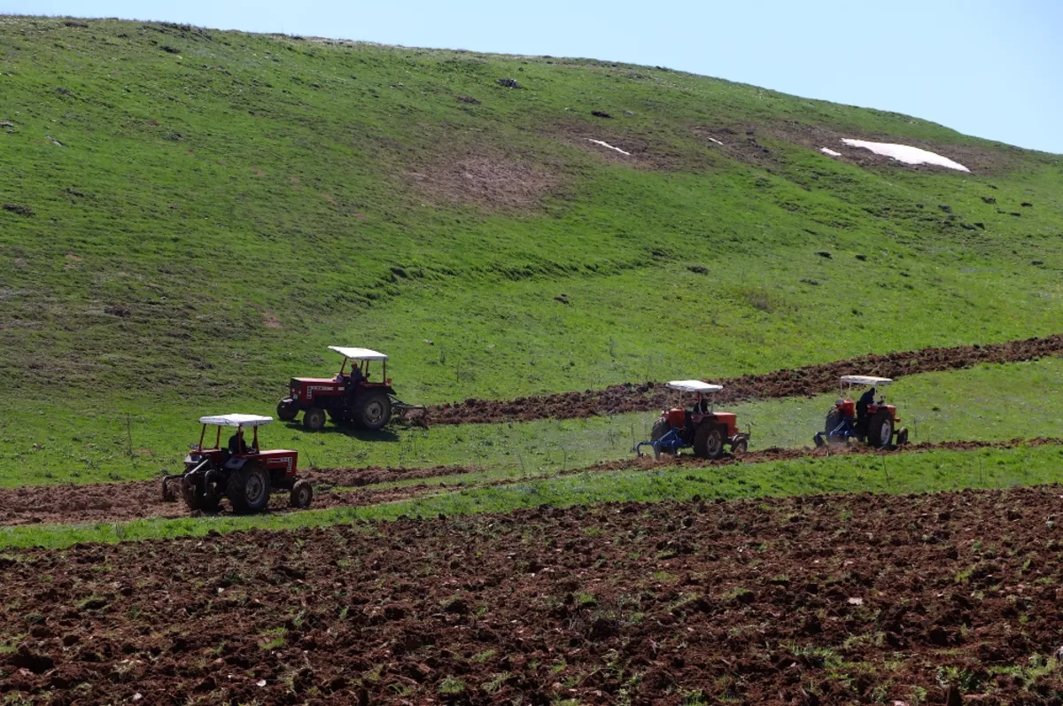 Tarım ÜFE nisanda aylık bazda yüzde 2.32 azalırken yıllık yüzde 71.52 arttı