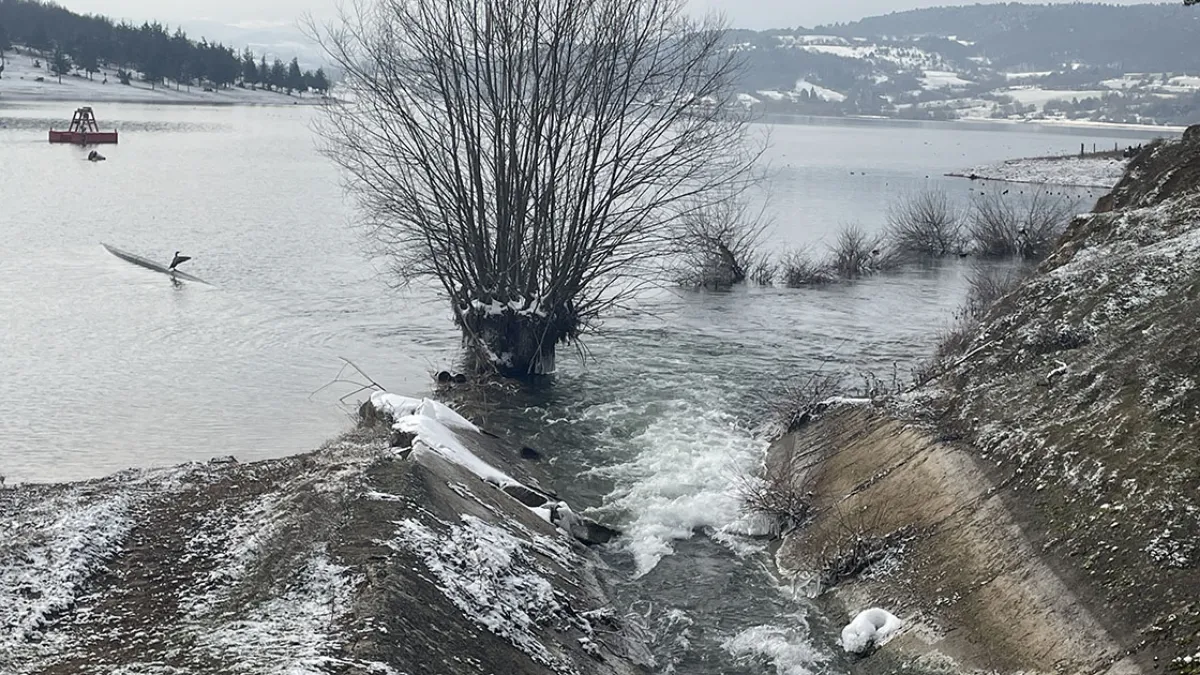 Gölköy Barajı'nda sevindiren gelişme: Yüzde 84'e ulaştı