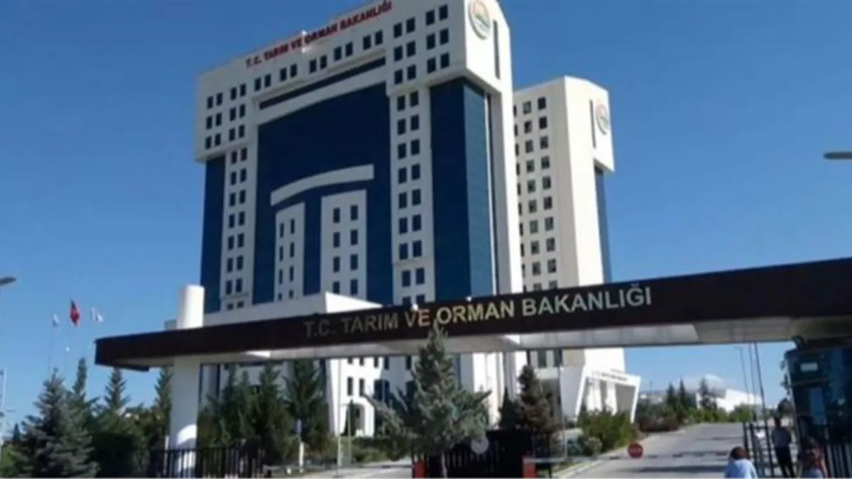 TARIM VE ORMAN BAKANLIĞI PERSONEL ALIMI 2025: Tarım ve Orman Bakanlığı personel alımı başvuru şartları