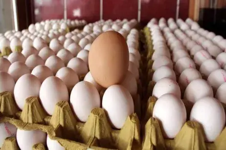 Ito Haber Gündem Haberleri