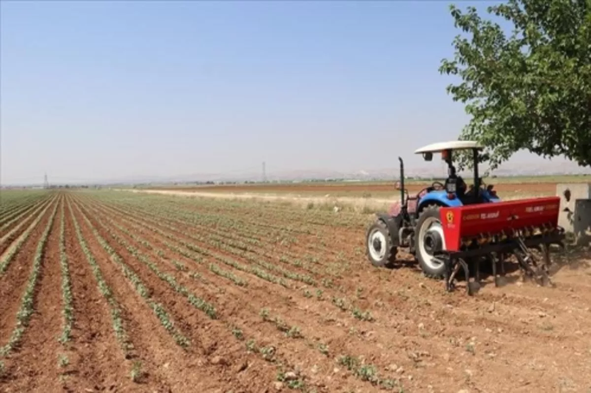 Gübre fiyatlarındaki yükseliş, çiftçilerin üretim maliyetini artırıyor