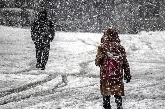 SON DAKİKA: Trabzon ve Artvin'de bazı ilçelerde okullar tatil edildi