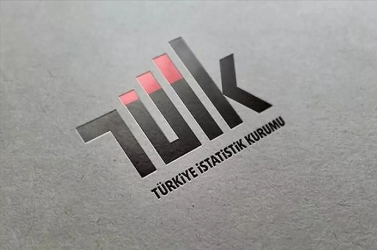 TÜİK, 2023 yılı "Yoksulluk ve Yaşam Koşulları İstatistikleri"ni yayımladı