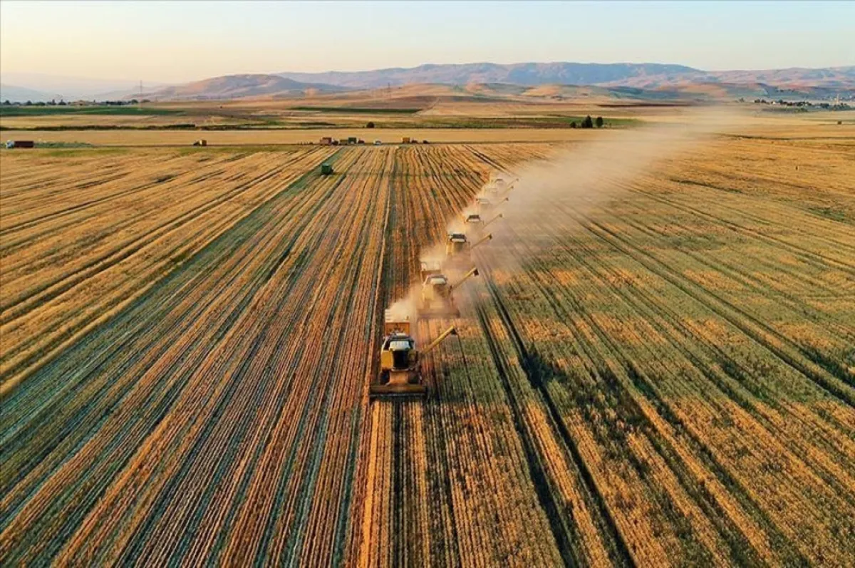 TARSİM açıkladı: 2025'te teminat altına alınacak ürün ve riskler belirlendi