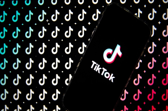 Fransız aileler TikTok'a dava açtı