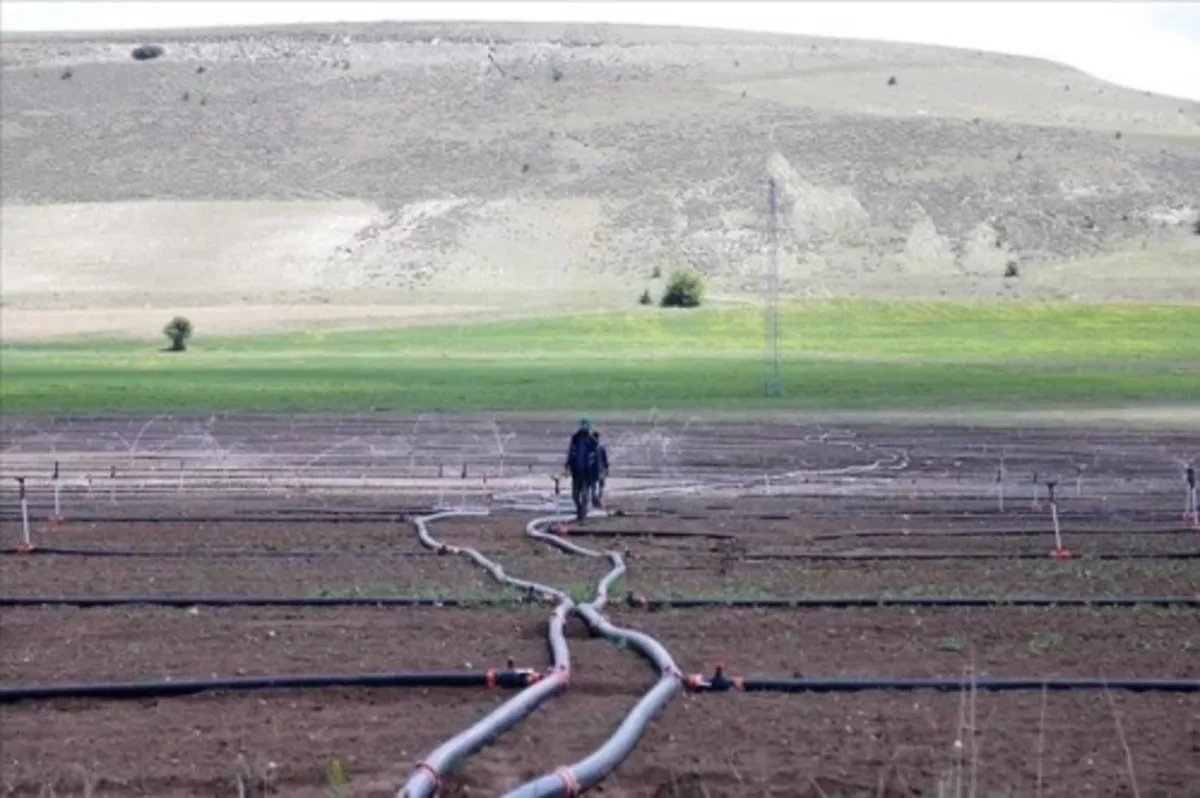 Yılsonuna kadar 402 su ve sulama yatırımının tamamlanması hedefleniyor