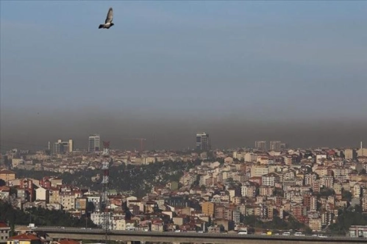 Türkiye'de geçen yıl 13 ilde yüksek hava kirliliği gözlendi