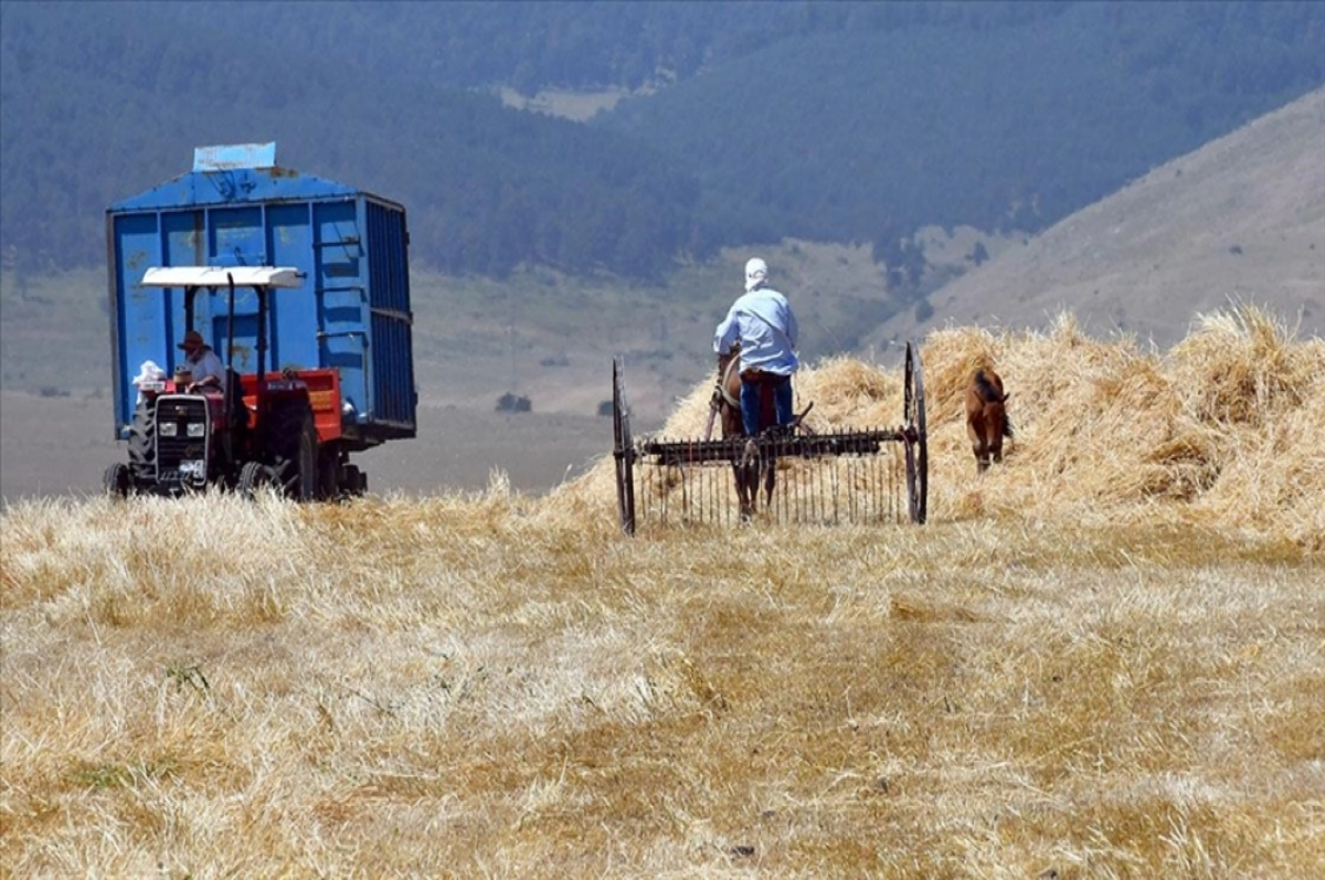 Tarımsal destekleme ödemeleri bugün çiftçilerin hesaplarına aktarıldı