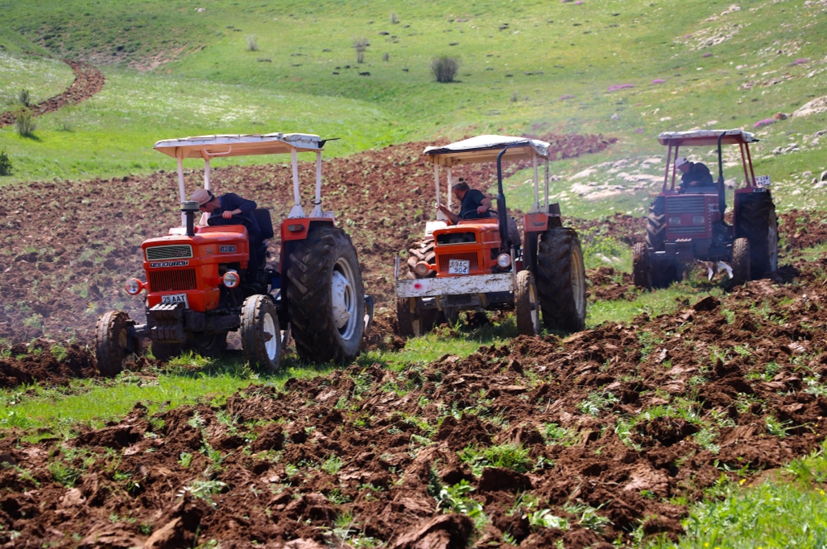 Çiftçilere 2.5 milyar lira tarımsal destekleme ödemesi bugün yapılacak