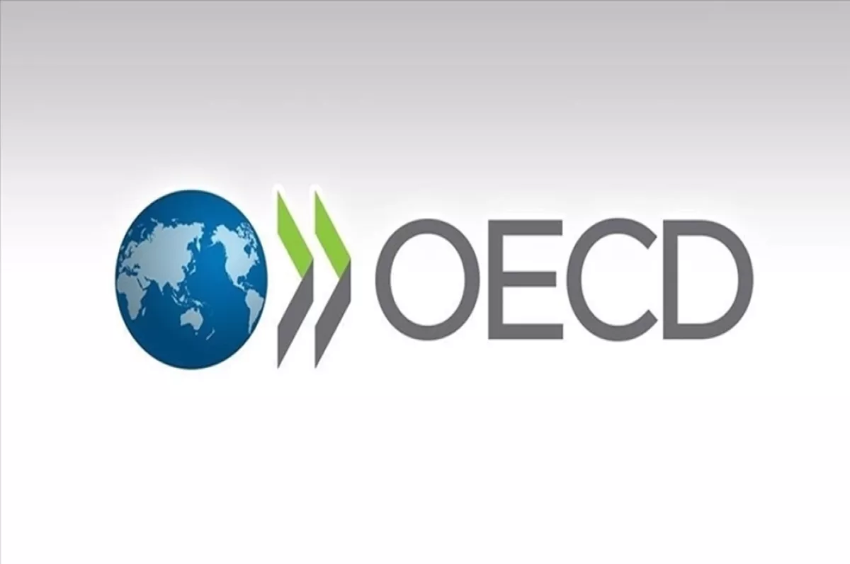 OECD büyüme beklentisini açıkladı: Türkiye bu yıl yüzde 3,5 büyüyecek