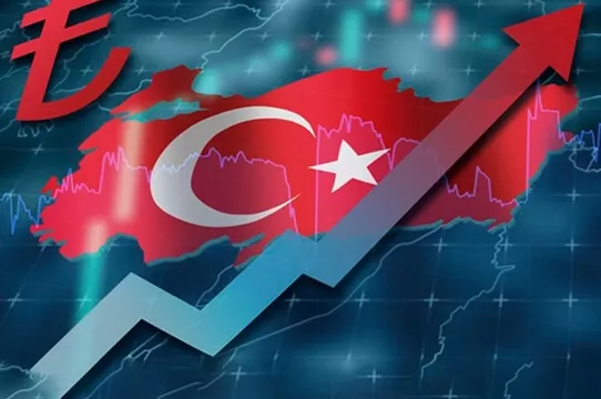 OECD'den Türkiye ekonomisi için dikkat çeken analiz