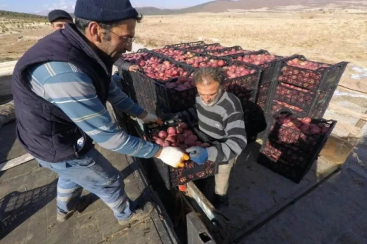 Kırsal Kalkınmada Uzman Eller Projesi kırsal mahallelerde de uygulanacak