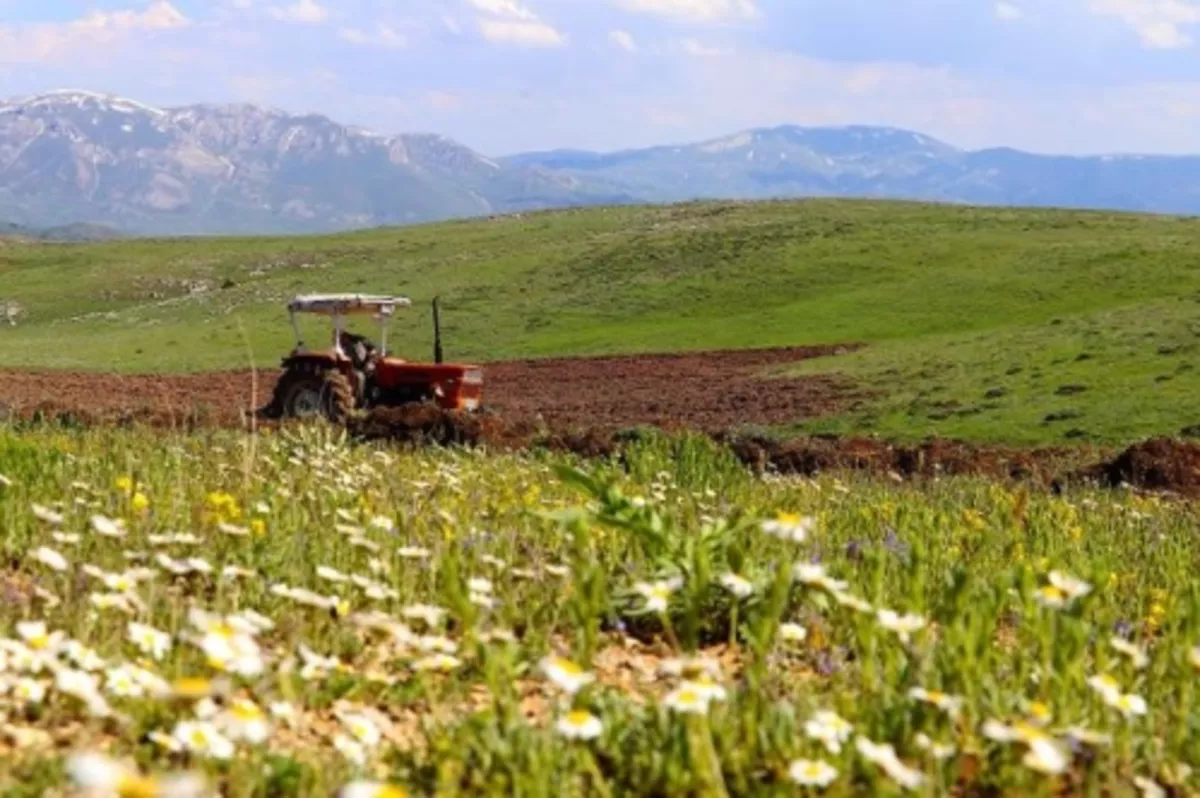 Tarım ÜFE mayısta aylık bazda yüzde 16,18, yıllık yüzde 154,97 arttı