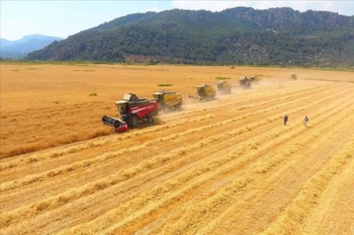 Tarımsal girdi fiyat endeksi Aralık 2021'de yıllık yüzde 45,61, aylık yüzde 9,82 arttı