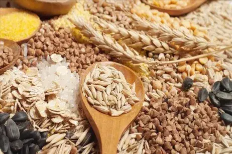 Ito Haber Gündem Haberleri