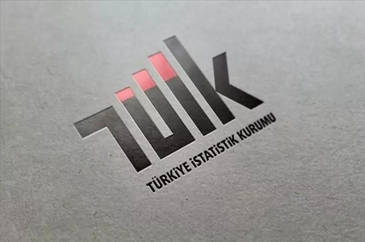 TÜİK mayıs ayı dış ticaret endekslerini açıkladı