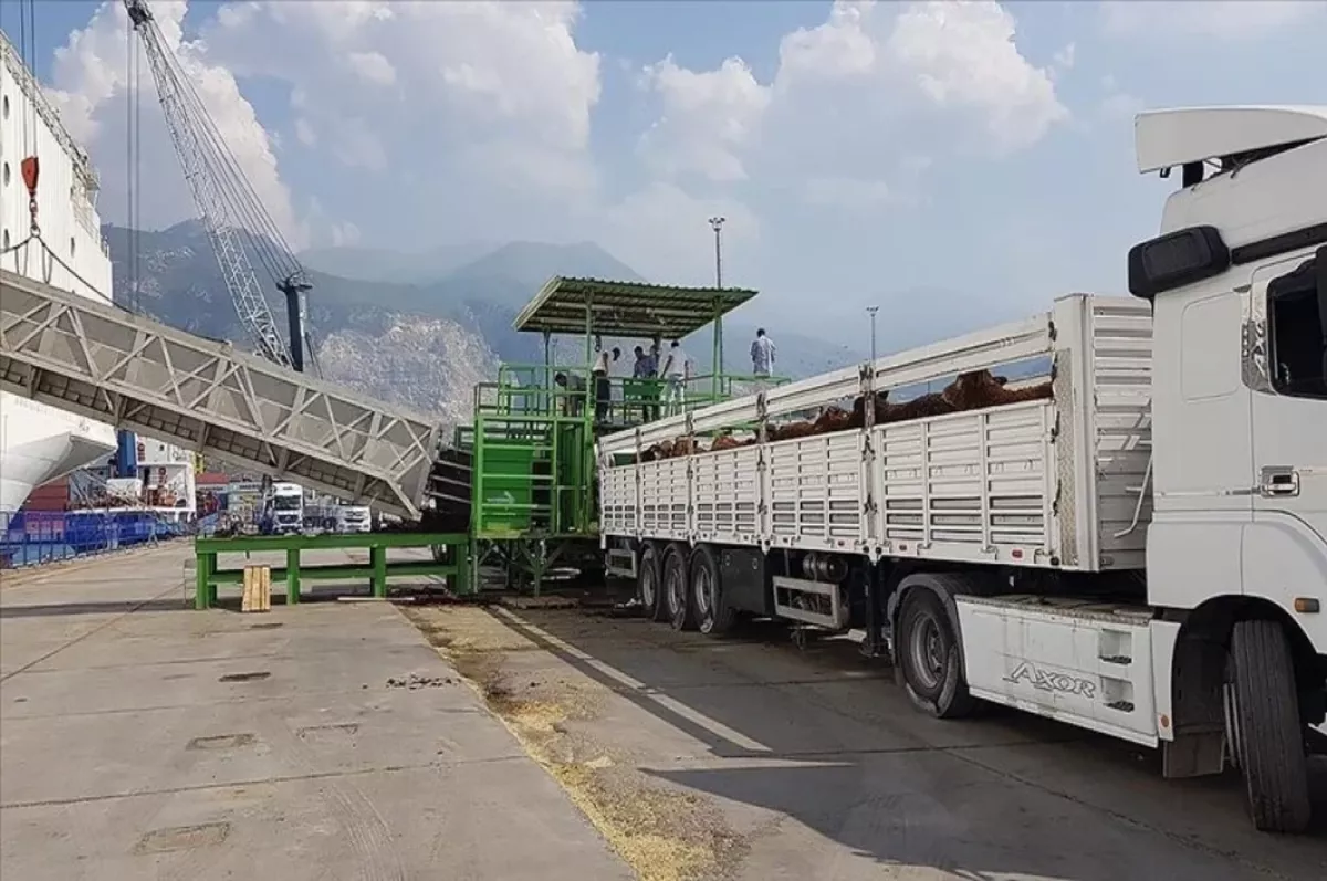 Canlı hayvan ithalat sertifikalarına ilişkin düzenlemenin uygulaması ertelendi